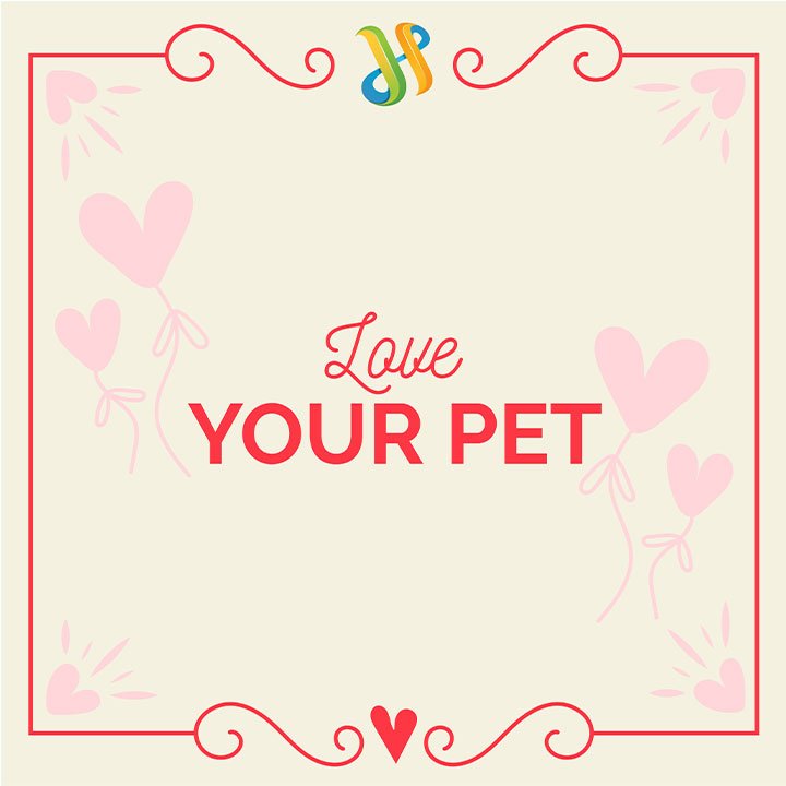 Valentine’s Day Marketing Campaign Ideas 10 Love Your Pet